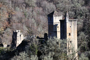 Traitement punaises de lit Castelnau-le-Lez